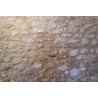 BIOLCALCE PIEDRA KERAKOLL - PROCAR GAMMA